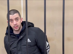 Британский наёмник-специалист по Javelin получил 13 лет строгого режима в Донецке