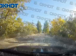 В Новолуганском ДНР нет аптек, воды и дорог — жители в отчаянии