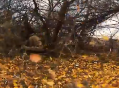 Бойцы ФСБ уничтожили двух диверсантов, пытавшихся прорваться в тыл ВС РФ