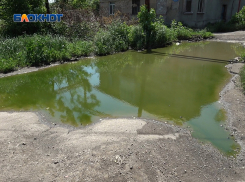 Грязь, вонь и насекомые: в центре Макеевки из-за забитой канализации образовался целый пруд 