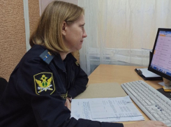 Судебные приставы из ДНР взыскали долг по алиментам с нерадивого отца