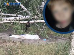 10-летнего мальчика насмерть придавило деревом во время шторма в Донецке