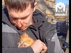 Собачка была не против: живодеры из Донецка рассказали свою версию истязаний над пекинесом