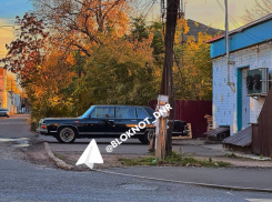 «Черная птичка» на Октябрьской: в Донецке сняли на видео редчайшую «Чайку» 