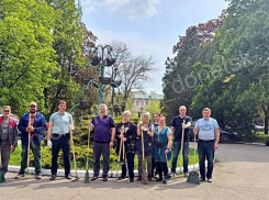 В Донецке провели масштабный субботник