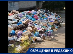 Замечены собаки и крысы: в Иловайске горы мусора и вода не поднимается выше третьего этажа