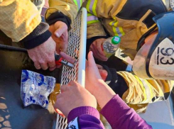 Заложник металлической сетки: в Новоазовске, ДНР, пожарные спасли 15-летнего подростка