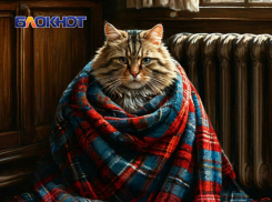 Денис Пушилин: подключены 96% от планируемых к запуску котельных в ДНР 