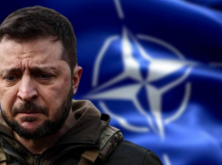 Эксперты говорят о крахе ВСУ под Курском и Покровском: Зеленский стоит на своем