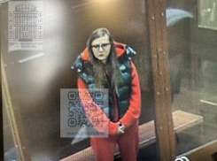 Арестованная по делу о растрате 14 миллионов, депутат ДНР из Курска, написала письмо секретарю Госсовета РФ