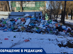На свалку бытового мусора на контейнерной площадке пожаловалась жительница Горловки
