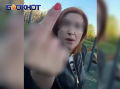 Преподаватель Волгоградской академии МВД устроила потасовку на детской площадке в Мариуполе