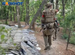 ВС РФ форсировали реку Волчья в ДНР и контролируют большую часть островов в дельте реки Днепр