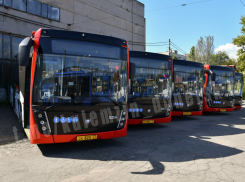 ДНР за два года получит более 450 автобусов разной вместимости