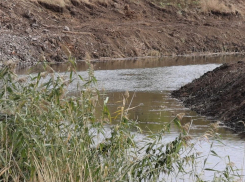 Реку Кальмиус в ДНР расчистят до Азовского моря в 2026 году