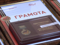 Активистам Народного фронта в ДНР вручили памятные нагрудные знаки за помощь бойцам СВО и пострадавшим от военной агрессии Украины