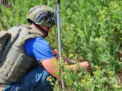 Шесть тысяч гектаров в Новоазовском округе остаются смертельно опасными