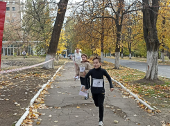 В ДНР повели соревнования по спортивному туризму и ориентированию