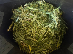 Почти полкило каннабиса изъяли у жителя Донецка