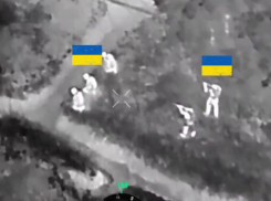 Украинские солдаты расстреляли своих сослуживцев под Красноармейском (Покровском)