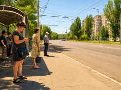 После 13:00 — только маршрутка или такси: жители Донецка жалуются на транспорт