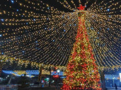 Одну из самых красивых ёлок ДНР отключат из-за помочившейся на неё собаки