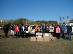 Два пони приехали из Челябинска в Донецк для занятий юных спортсменов