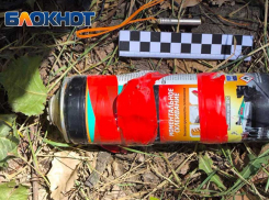 Целились в школу: дрон с килограммом взрывчатки обезврежен в Кировском районе Донецка