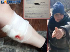 Своры агрессивных собак оккупировали Азотный в Донецке, власти разводят руками