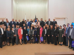 Новый состав ОП ДНР был избран по российскому законодательству