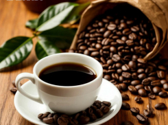 Жителям ДНР рассказали о пользе кофе и кофейном дереве Донбасса