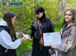 Молодежь продолжает бороться за парк в Азотном микрорайоне Донецка 