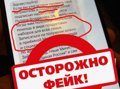 Украина распространяет фейки о подкупе жителей ДНР продуктами на предстоящих выборах Президента РФ 