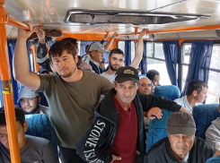 Выдворили 53 мигранта из России, выявленных в ДНР