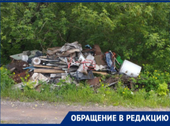 «Не вывозят мусор по полмесяца»: жители Донецка жалуются на свалки