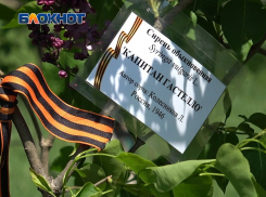 Сирень Победы: в Донецком ботаническом саду растет 29 сортов символа 9 мая