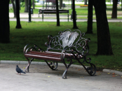 Места для влюбленных в центре Донецка показал глава администрации города