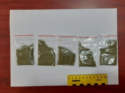 В Донецке и Шахтерске полицейские уличили двух мужчин в выращивании растений с наркотическими веществами и хранении наркотиков