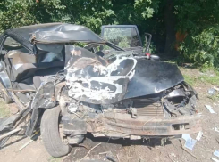 Водитель без прав совершил смертельное ДТП на трассе Донецк - Мариуполь: пострадали дети