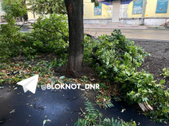 В Донецке прошел ураган: кадры последствий