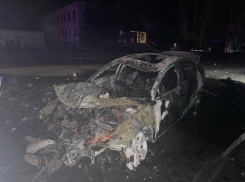 В Макеевке и Старобешевском районе водители влетели в столб и дерево, они не выжили