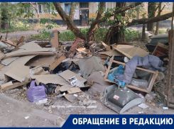 Кругом грязь, куда смотрит ЖЭК?: жительница Донецка по бульвару Шевченко жалуется на магазин, который заваливает проход к мусорным бакам