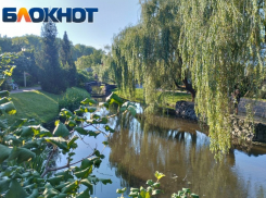Островок для отдыха: где дончане проводят время в выходные