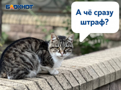 Жителей и предпринимателей Донецка будут штрафовать до 50 тысяч рублей за мусор возле дворов и торговых объектов