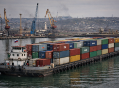 Что поставляют из Польши в ДНР и из Донбасса в Китай, рассказали в Донецкой таможне