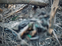 Зачистка Покровска: крепость ВСУ в ДНР завалена горами сгнивших трупов солдат