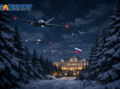 За Путина: Россия нанесет удары возмездия после удара по резиденции президента