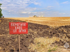 МЧС следит за сохранностью урожая в ДНР