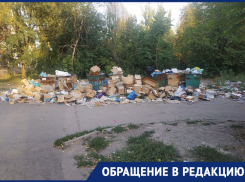 Очередная свалка высотой с человеческий рост собралась в Донецке на улице Бирюзова