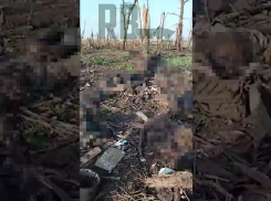 Земля усеяна телами:  все, что осталось от 47 омбр ВСУ под Бердычами